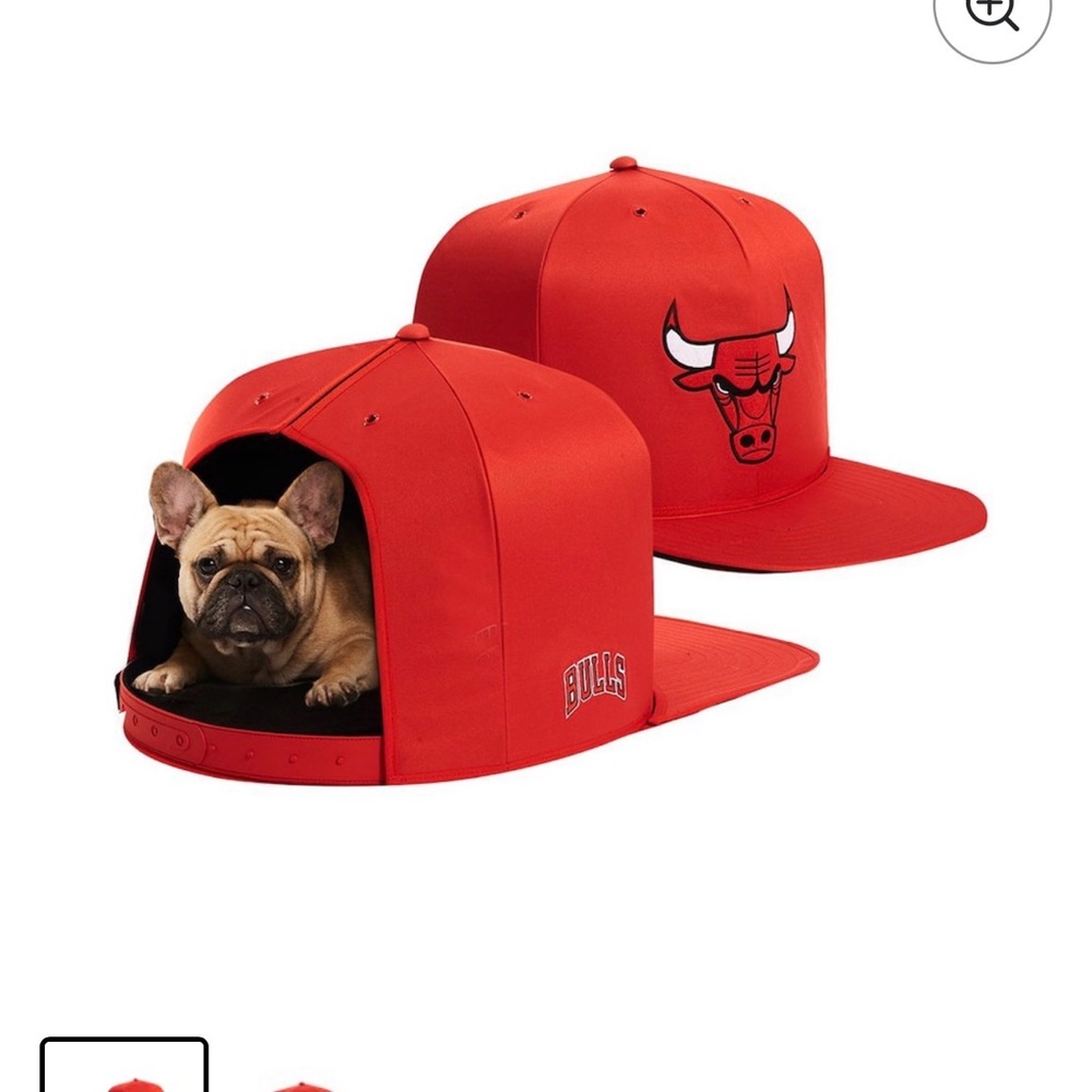 NBA Chicago Bulls Red Dog Nap Cap